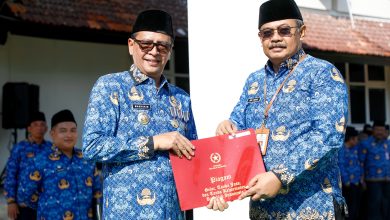 Satya Lancana Karya Satya