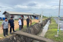 Ditemukan Banyak Pelanggaran, Pemkab Sumenep Diminta Tutup Sejumlah Tambak Udang
