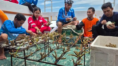 SKK Migas-KEI Pulihkan Ekosistem Laut Pagerungan Lewat Konservasi Terumbu Karang