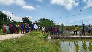 Tolak Penjebolan Minian PT Garam, Warga Nambakor Blokade Jalan