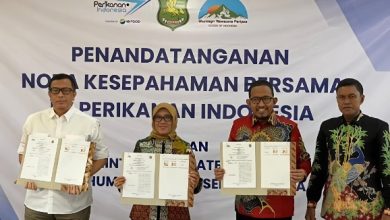Pemkab Sumenep Perkuat Rantai Pasok Perikanan Lewat Kerja Sama Strategis